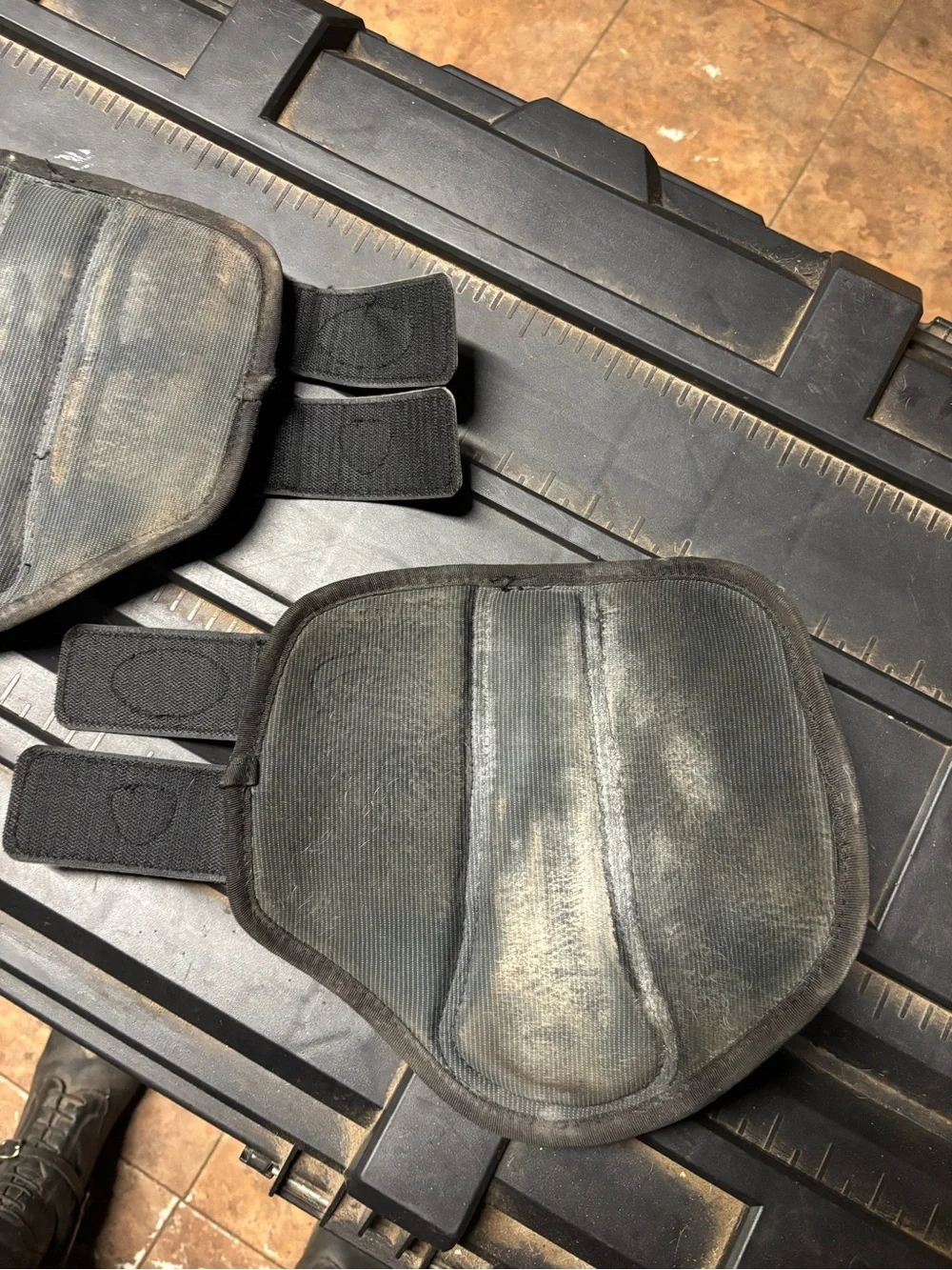 Horse brushing boots medium